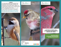 Prevent and control bird-feeder associated threats