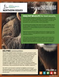 Northern Issues